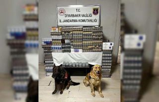 Diyarbakır’da yolcu otobüsünde 8 bin 549 paket...