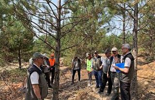 Domaniç ormanlarında tatbikat
