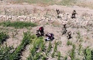 Dron tespit etti, komandolar operasyon düzenledi