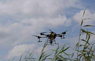 Drone ile sinek avı