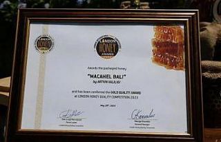 Dünya “Altın Bal” ödüllü balın tanıtımı...