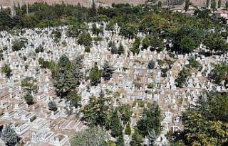 Dünyada 3 tane, biri Aksaray’da