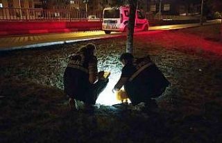 "Dur" ihtarına uymadılar, yanlarındaki...