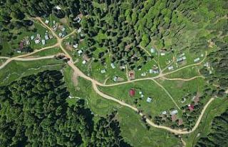 Düzce’nin serinleten yaylaları
