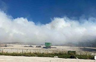 Edirne’de anız yangını söndürüldü