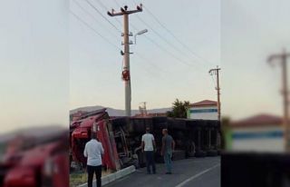 Elazığ’da büyükbaş hayvan taşıyan kamyon...