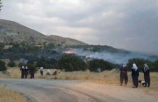 Elazığ’da düşen yıldırım otluk alanları...