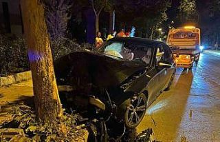 Elazığ’da otomobil ağaca çarptı: 1 yaralı