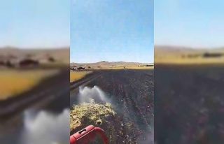 Elazığ’da samanlık ve arazi yangını: 60 dönüm...