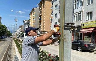 Elektrik direklerine ahşap kaplama