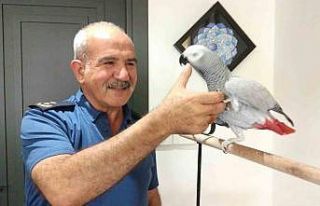 Emniyet müdürünün hayvan sevgisi görenlerin takdirini...