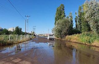 Enerji tesisinin gübre silosu patladı, tarlaları...
