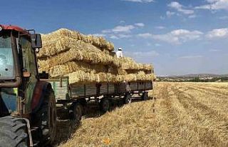 Erzincan’da çiftçilerin saman mesaisi başladı