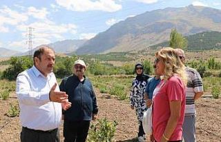 Erzincan’da ilaç ve gıda sanayisinde kullanılan...