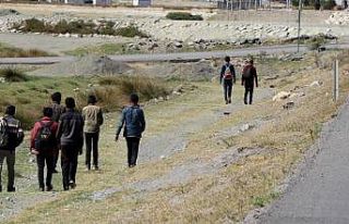 Erzincan’da jandarma ekiplerince 1 ayda 185 kaçak...