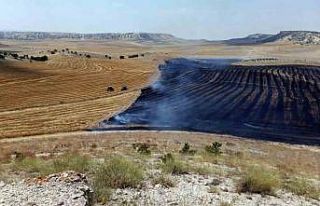 Eskişehir’de 3 farklı noktada orman yangını...