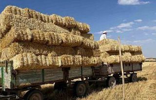Eskişehir’de çiftçilerin saman mesaisi başladı