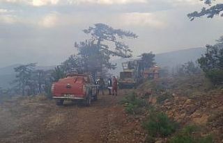 Eskişehir’de çıkan orman yangını kontrol altına...