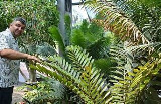 EÜ, 3 bine yakın endemik bitki türüne ev sahipliği...