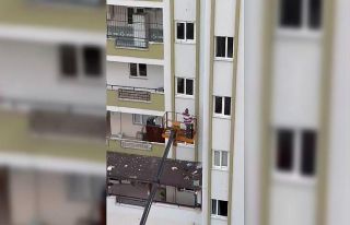 Evden kaçan papağanı için vinç getirtti