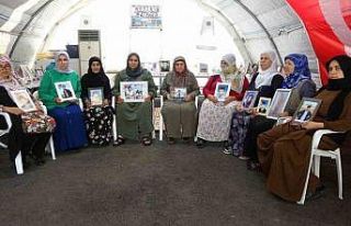 Evlat nöbetindeki anne: “Oğlum, babası korucu...