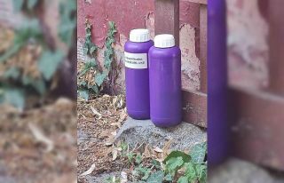 Eyüpsultan’da kedilere asit dökerek zarar veren...