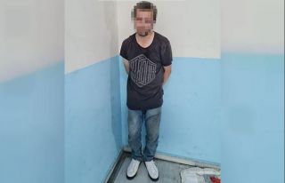Eyüpsultan’da kedilere asit dökerek zarar veren...