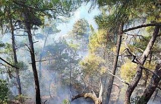 Feke’deki orman yangını kontrol altına alındı