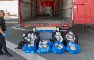 Film sahnelerini aratmayan uyuşturucu operasyonu