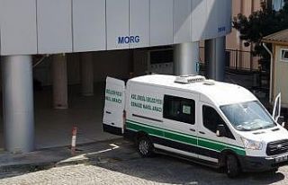 Fındık toplarken kalp krizi geçiren genç kadın...