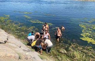 Fırat Nehri’nde boğulan babanın da cansız bedeni...