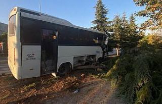 Freni patlayan servis midibüsü ağaçları biçti:...