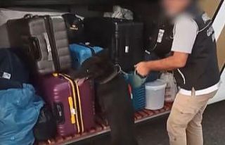 Gaziantep’te 6 kilo skunk ele geçirildi