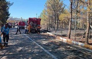 Gaziantep’te orman yangını