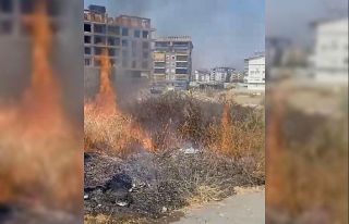 Gazipaşa’da otluk yangını söndürüldü