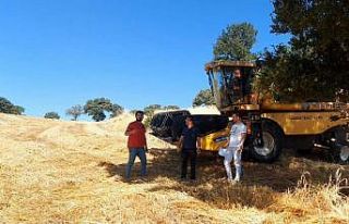 Gediz İlçe Tarım ve Orman Müdürlüğünden dane...