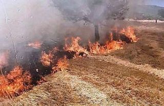 Gediz’de tarla yangını
