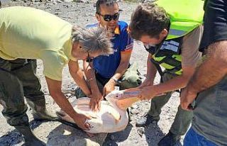 Gölette mahsur kalan pelikanı AFAD kurtardı