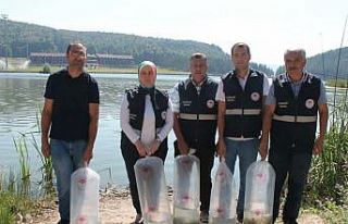 Göllere 35 bin yavru balık bırakıldı