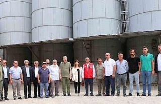Güldal: "TMO son ürün gelene kadar alıma...