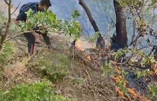 Hakkari’deki orman yangını kısmen kontrol altına...