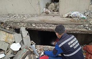 Haşere ilaçlama çalışmaları devam ediyor