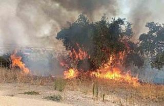 Hatay’da 2 farklı noktada meydana gelen yangın,...