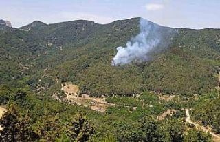 Hatay’da orman yangını