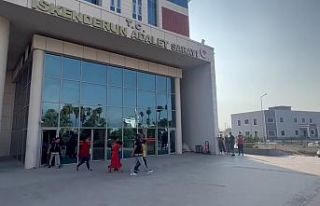 Hatay’da oto fareleri yakalandı