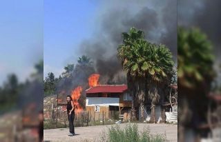 Hatay’da sahildeki 3 baraka ev alev alev yandı