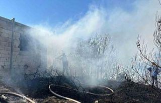 Hatay’da zeytinlik ve çalılık alanda çıkan...