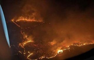 Hawaii’deki orman yangınlarında can kaybı 53’e...