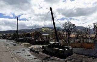 Hawaii’deki orman yangınlarında can kaybı 80’e...