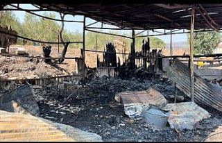 Hayvanlarını kurtarmak isterken yaralandı